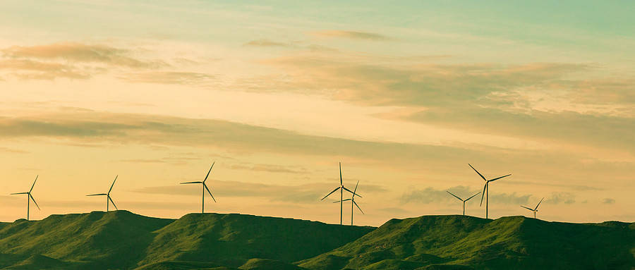 信用网如何申请_论潮州市企业如何申请信用修复的几种通用办法信用网如何申请，2023年版