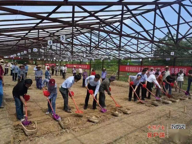 新2最新网址_最新发布:全国十大考古新发现十堰2项目入围