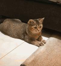 皇冠信用盘出租_每日一笑:检查出有孕立即给男友发信息皇冠信用盘出租,失误群发了,不料……