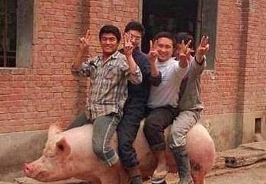 皇冠信用盘出租_每日一笑:检查出有孕立即给男友发信息皇冠信用盘出租,失误群发了,不料……