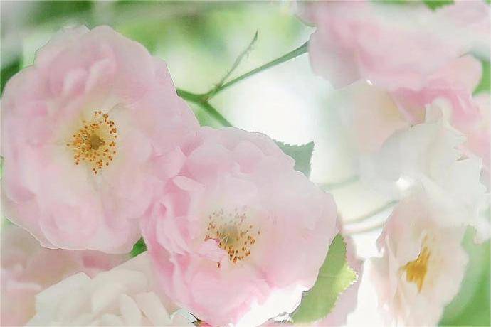 皇冠信用网平台开户_期权哪个开户平台好皇冠信用网平台开户?