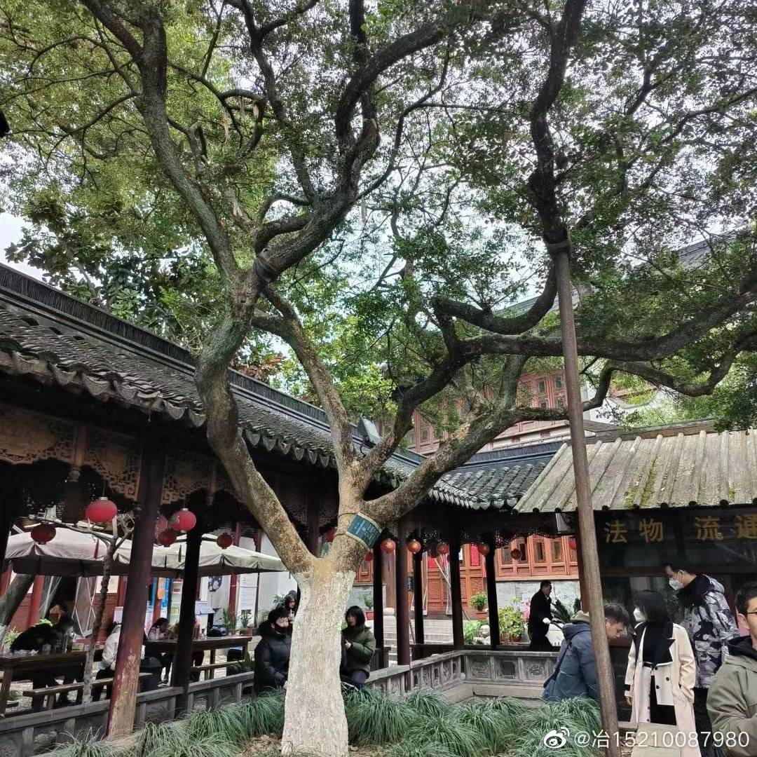 皇冠信用网需要押金吗_国际航协IATA资质办理的流程和条件皇冠信用网需要押金吗?