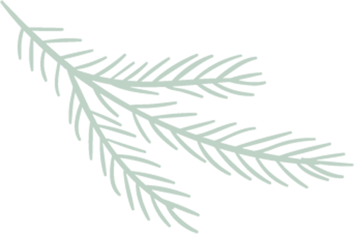 皇冠信用盘出租_“美国特种兵”男友受伤皇冠信用盘出租?民警一语警醒女子