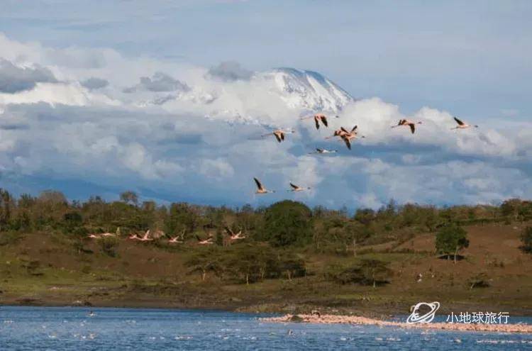 皇冠信用盘登123出租_看这一篇就够了！史上最好最详细深度的坦桑尼亚旅行攻略皇冠信用盘登123出租，没有之一