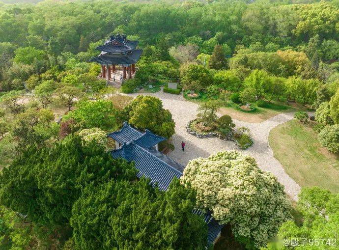 皇冠信用盘在哪里开通_这座长江大桥皇冠信用盘在哪里开通,新进展!