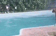 皇冠信用怎么弄_姑娘在热成像下皇冠信用怎么弄,不小心就被发现了秘密,太尴尬了,哈哈哈