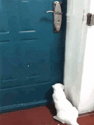 皇冠信用怎么弄_姑娘在热成像下皇冠信用怎么弄,不小心就被发现了秘密,太尴尬了,哈哈哈