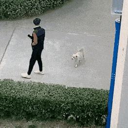 皇冠信用怎么弄_姑娘在热成像下皇冠信用怎么弄,不小心就被发现了秘密,太尴尬了,哈哈哈