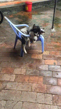 皇冠信用怎么弄_姑娘在热成像下皇冠信用怎么弄,不小心就被发现了秘密,太尴尬了,哈哈哈