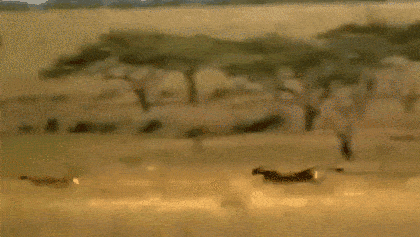 皇冠信用怎么弄_姑娘在热成像下皇冠信用怎么弄,不小心就被发现了秘密,太尴尬了,哈哈哈