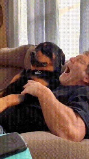 皇冠信用怎么弄_姑娘在热成像下皇冠信用怎么弄,不小心就被发现了秘密,太尴尬了,哈哈哈