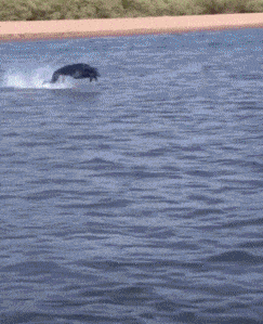 皇冠信用怎么弄_姑娘在热成像下皇冠信用怎么弄,不小心就被发现了秘密,太尴尬了,哈哈哈