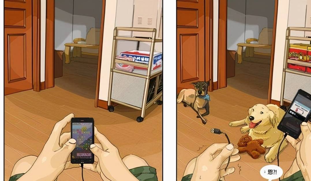 皇冠信用网去哪里弄_“养狗”和“不养狗”的人皇冠信用网去哪里弄,过的生活是不一样的