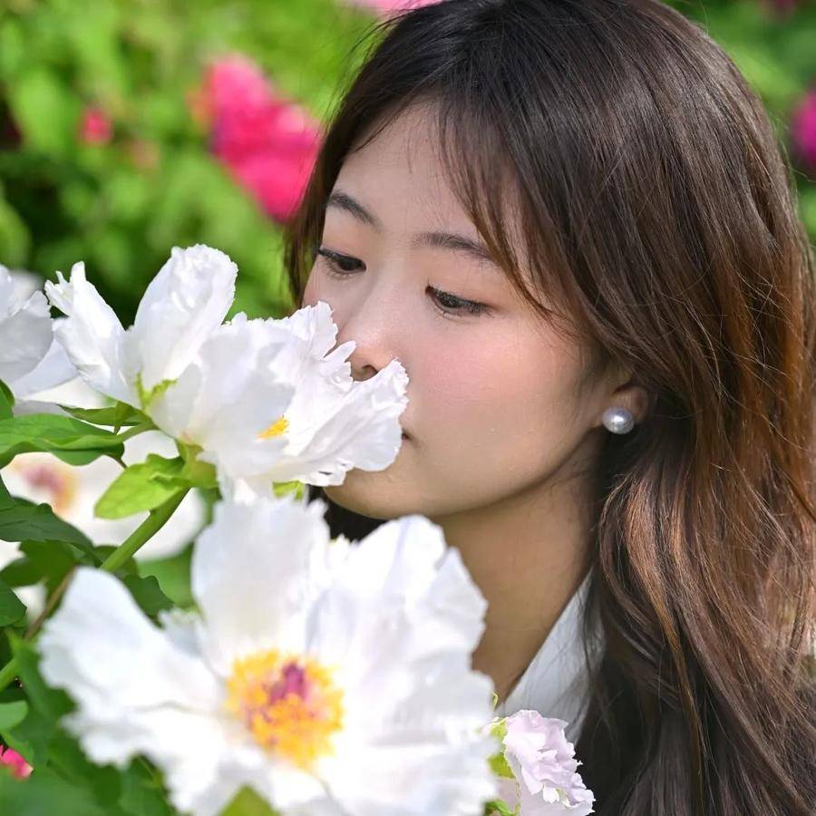 皇冠体育_@全体校友皇冠体育,齐鲁工业大学牡丹鉴赏通道开启!