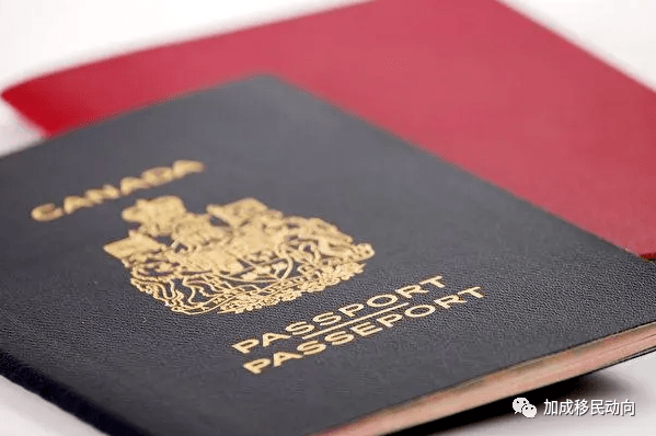 皇冠2登录welcome_加拿大新移民的福利有哪些皇冠2登录welcome?