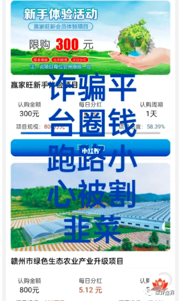 皇冠信用盘APP下载_【预警】“赢家旺”APP是杀猪盘皇冠信用盘APP下载,请勿下载充值!