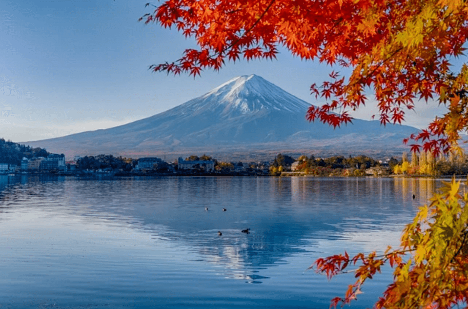 皇冠信用盘代理占成_想吸引更多中国游客皇冠信用盘代理占成,普及电子支付很重要?