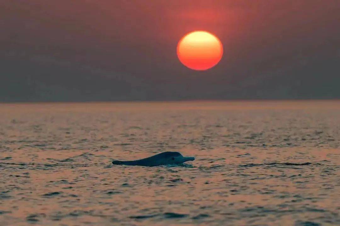 皇冠体育_总要跟爱的人去一次海边吧皇冠体育!| 《南海姑娘》的浪漫指南