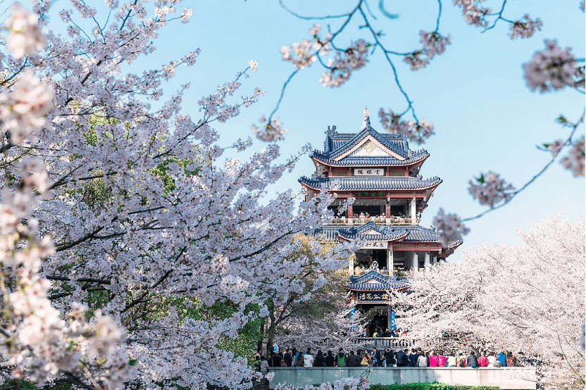 皇冠信用盘开号_绝美风景我都帮你踩好点皇冠信用盘开号,你就差一台皇冠陆放了