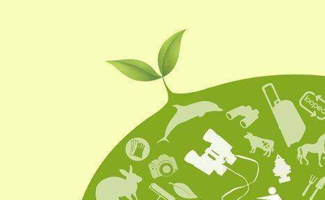 皇冠信用盘结算日是哪天_每年的“世界环境日”是哪一天皇冠信用盘结算日是哪天?我们该如何保护环境呢?