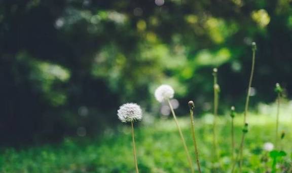 好世界杯时间安排_成年人的世界好世界杯时间安排,就连情绪崩溃也要安排好时间