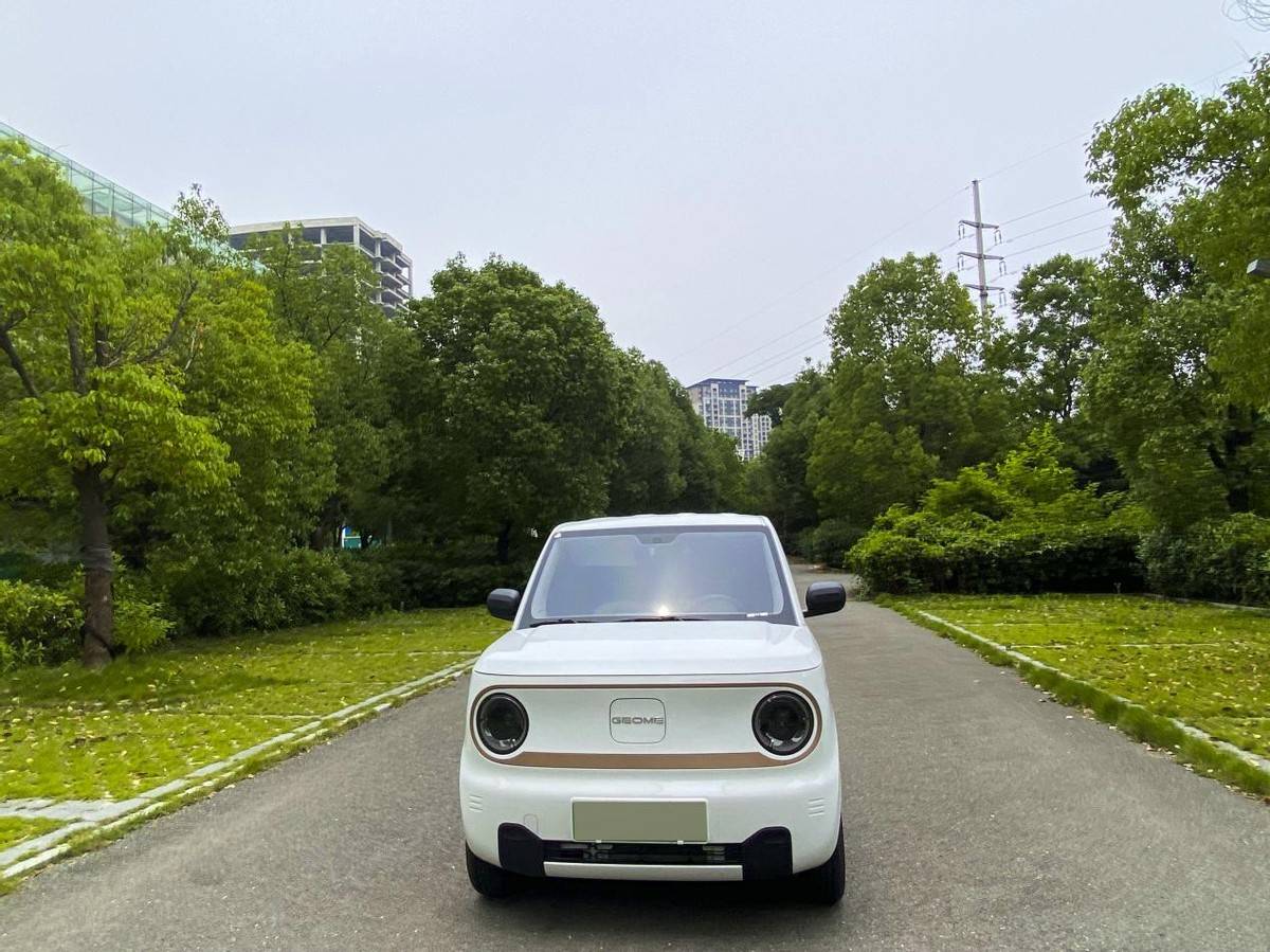 买球的正规网站_买车给父母接送孩子买球的正规网站,还是得买上绿牌的正规小车