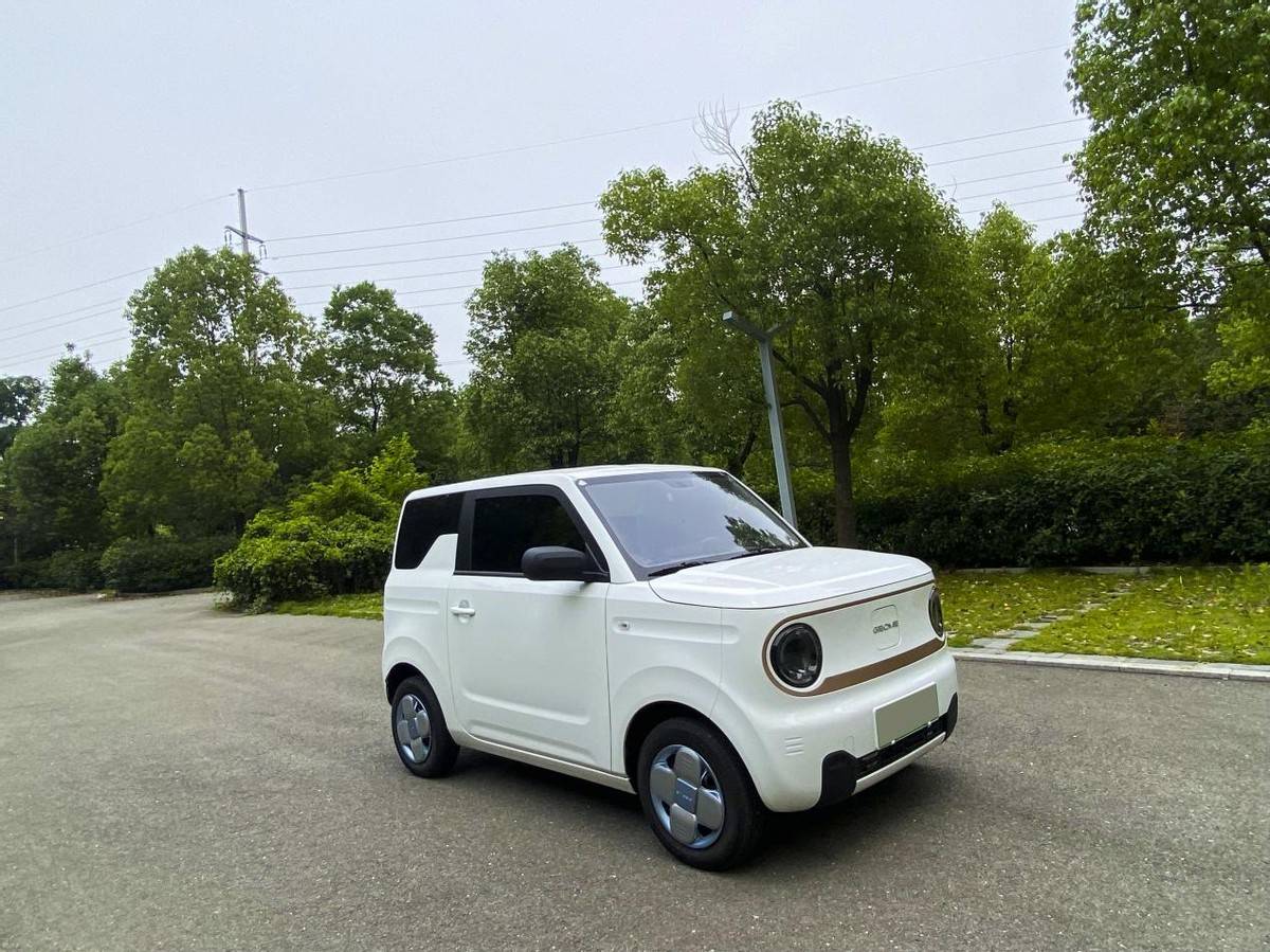 买球的正规网站_买车给父母接送孩子买球的正规网站,还是得买上绿牌的正规小车