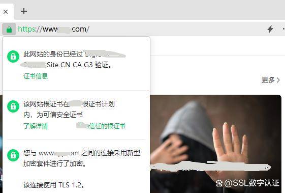 皇冠信用网哪里申请_网站安全证书去哪里申请皇冠信用网哪里申请?