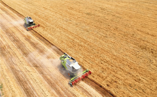 皇冠正网_麦收季节南到北皇冠正网,网约农机正当时