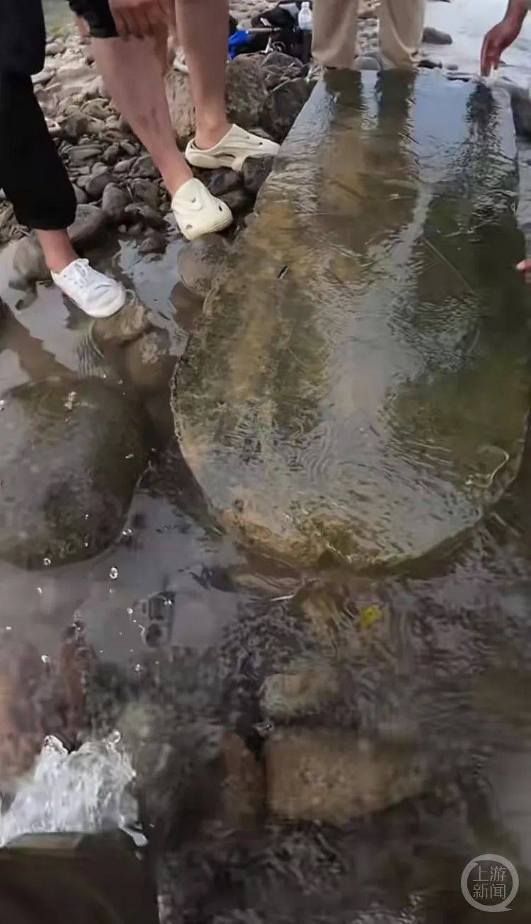 皇冠代理登1,2,3_“当时就无心钓鱼了皇冠代理登1,2,3!”河南钓友在洛阳附近“钓”到古碑?文保部门回应