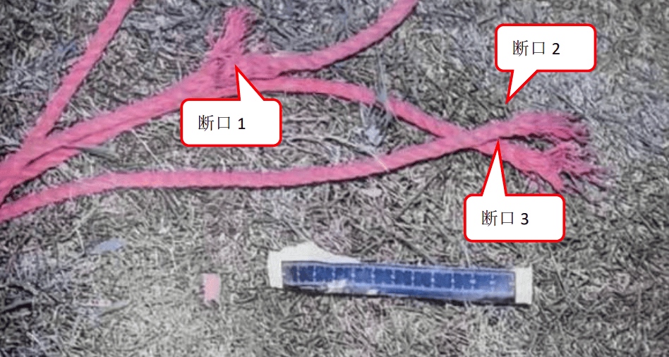 皇冠信用网平台出租_安全绳被切断1人坠亡皇冠信用网平台出租!深圳光明公布一事故调查报告