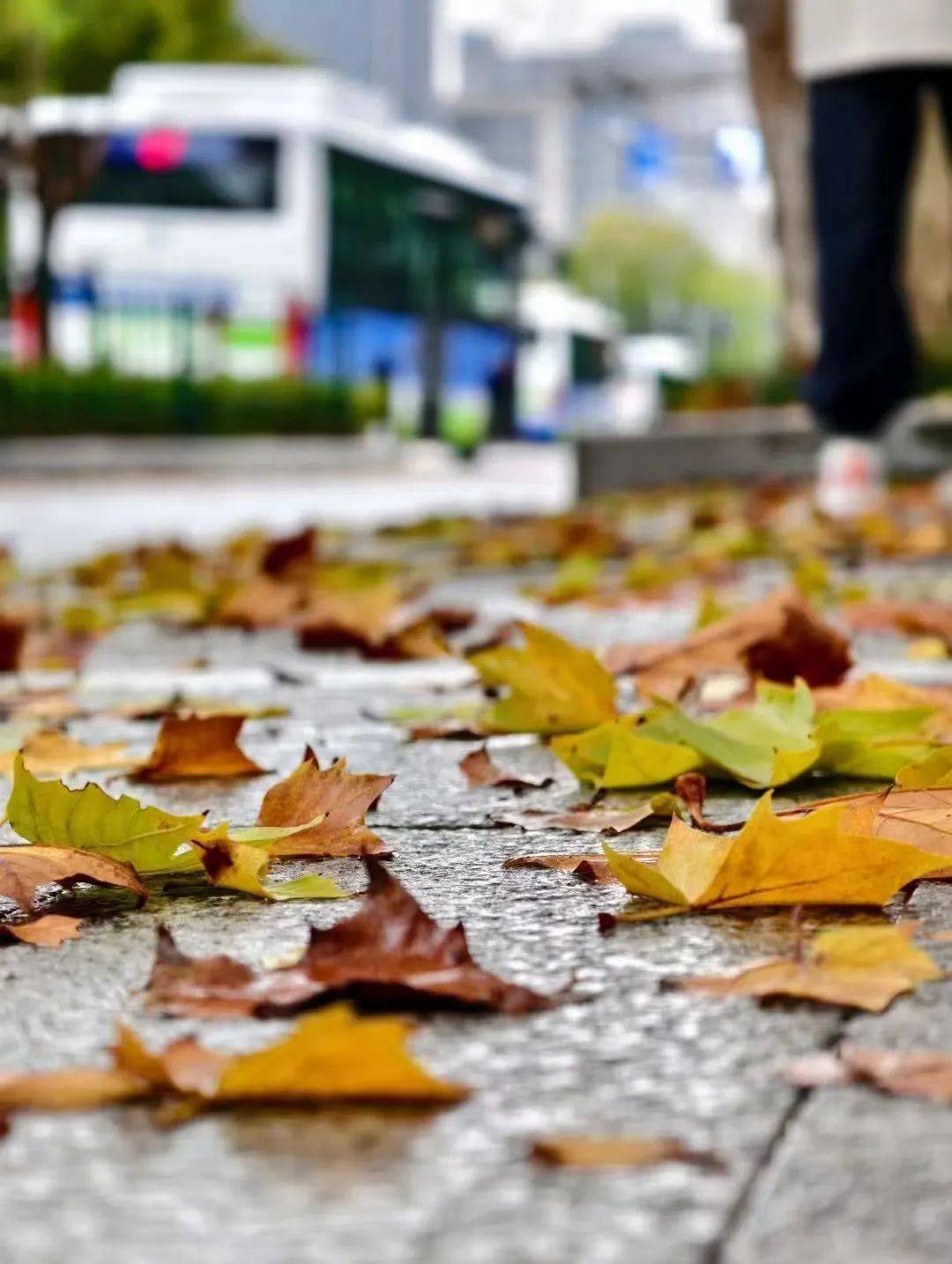 皇冠信用網在哪里开通_零下3℃!杭州人挺住皇冠信用網在哪里开通,连续两波!羽绒服要准备了……