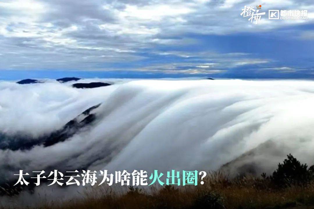 皇冠信用網代理_“来都来了皇冠信用網代理,那就查一个吧”,浙江男子意外查出癌