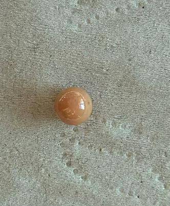 皇冠信用盘怎么租_极为罕见!大连渔民吃海螺时皇冠信用盘怎么租,竟然吃出……