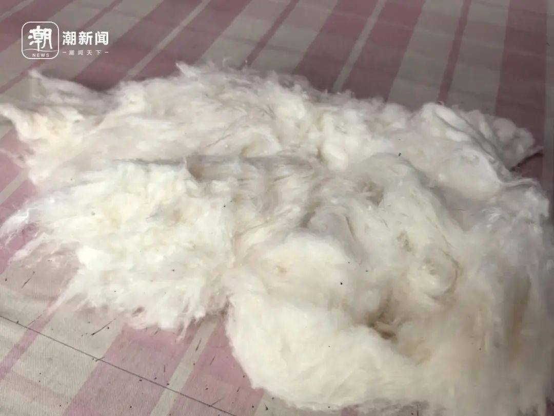 皇冠登3新2管理_生意越来越差皇冠登3新2管理!杭州老师傅求助:价廉物美的东西应该被看见