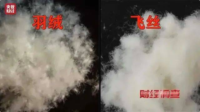 皇冠信用網申请条件_羽绒服爆大雷皇冠信用網申请条件!3000多元买的羽绒服拆开全是飞丝!许多网友剪开了自己的衣服……
