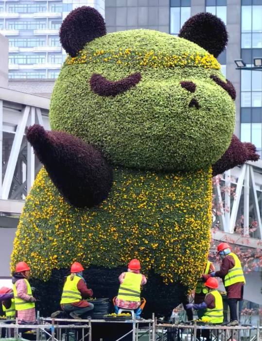 Antwerp Football_零下6℃!杭州Antwerp Football,明天更冷!但有个好消息...