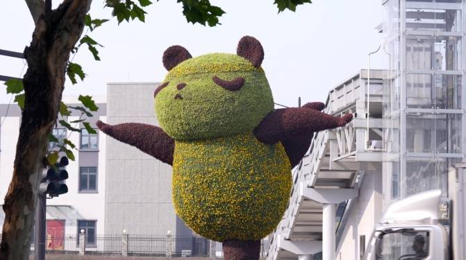 Antwerp Football_零下6℃!杭州Antwerp Football,明天更冷!但有个好消息...