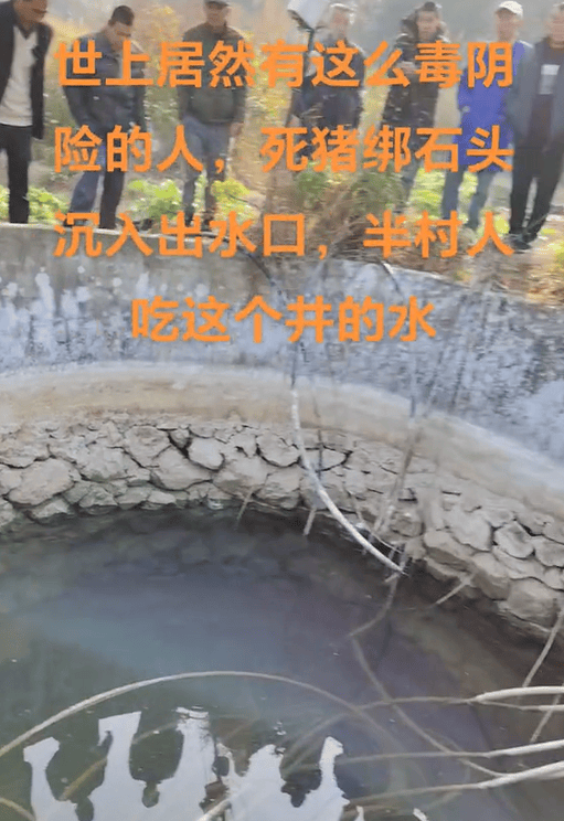 hga030.com Mobile Login
_村庄水井内发现被绑石头死猪hga030.com Mobile Login
,“一半村民饮用水源”,广西荔浦警方介入