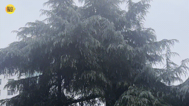 皇冠信用网占成代理_陕西本轮雨雪何时结束?最新消息皇冠信用网占成代理!西安……