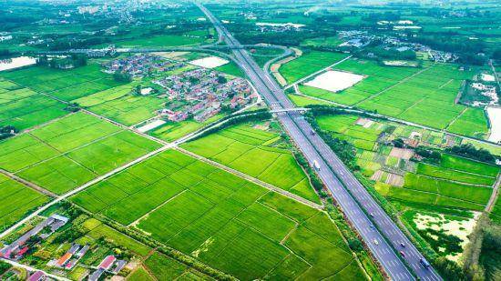 亚洲杯比分分析_超300万吨!合肥亚洲杯比分分析,“饭碗”端得越来越牢