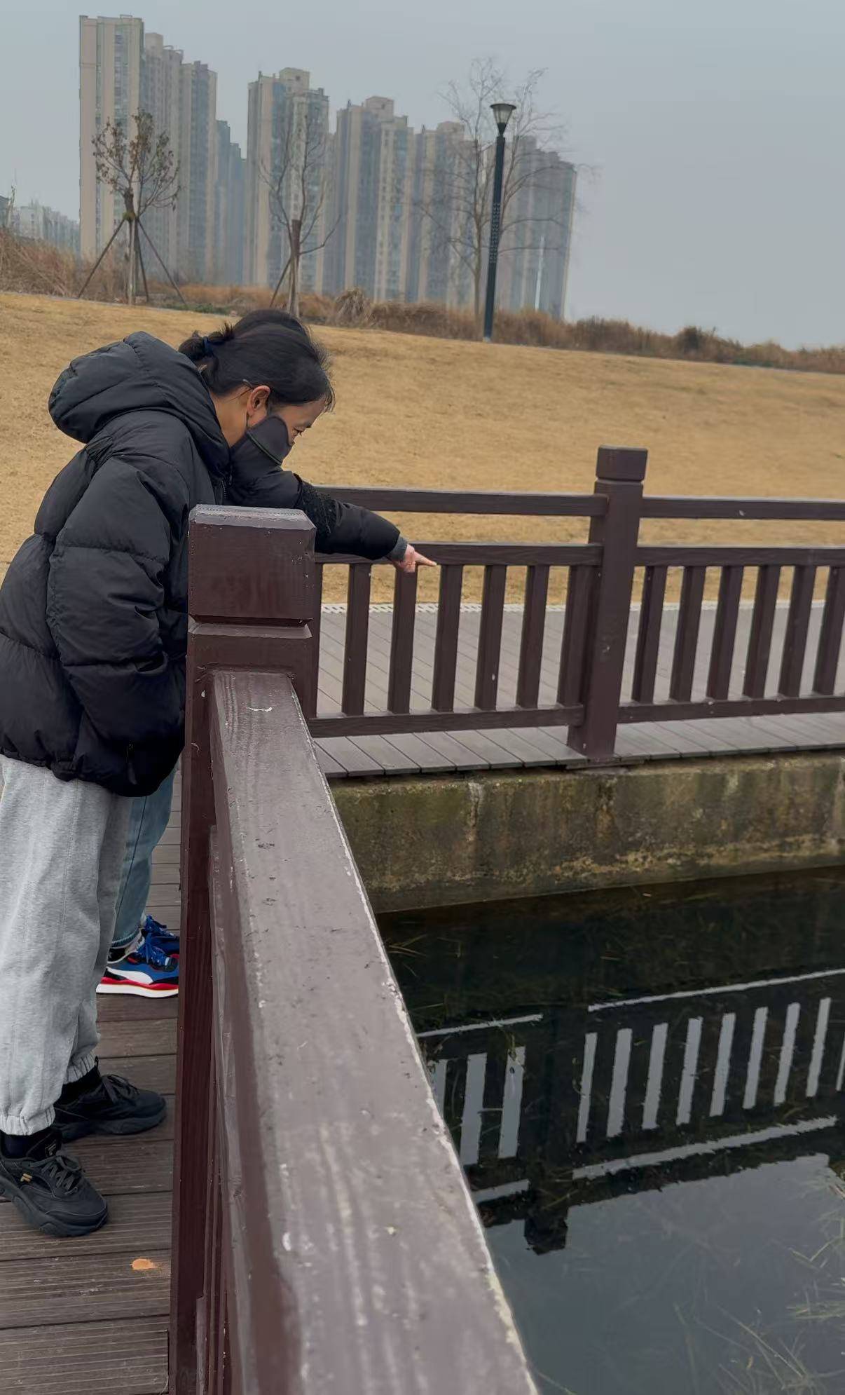 皇冠信用平台出租_现场壮观!长沙松雅湖公园出现“鱼潮”皇冠信用平台出租,网友:这是鱼儿在“团建”