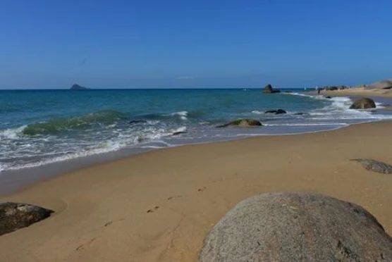 皇冠信用盘会员_中国最“不靠谱”专家皇冠信用盘会员，公然在央视“胡说”，为何至今仍然爆火？