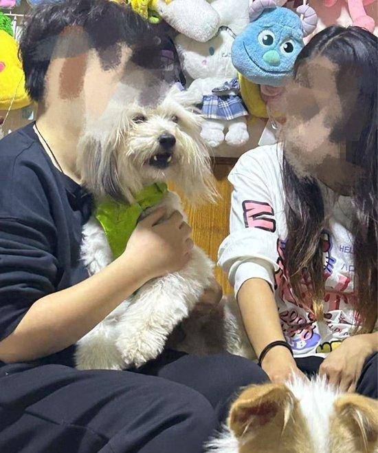 皇冠信用网登2代理
_24岁女舞蹈老师骑电动车直行皇冠信用网登2代理
,被校车追尾辗轧不幸身亡