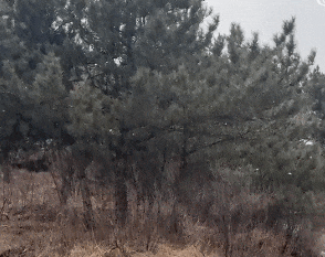 皇冠信用网出租
_北京2区飘雪!明天局地中到大雪皇冠信用网出租
,气温骤跌