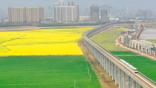 信用網如何申请_四连赞信用網如何申请！外交部发言人点赞武汉地铁站