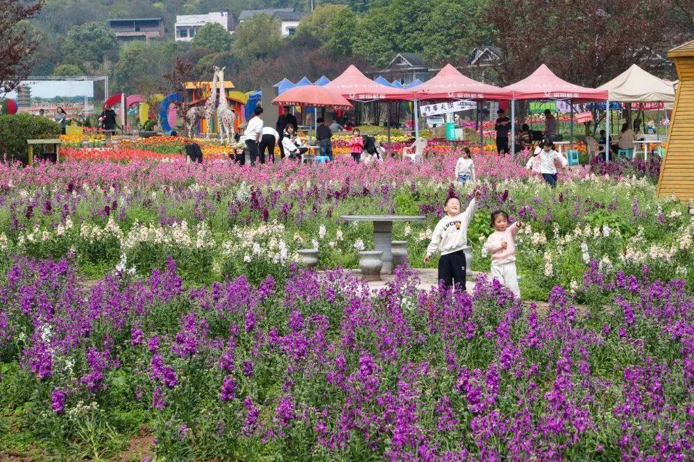 皇冠信用網怎么开账号_“气温过山车”！明天重庆最高33℃皇冠信用網怎么开账号，后天雷雨+大风