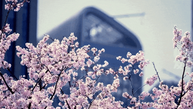 皇冠信用網占成代理_最新确认：今夜抵达杭州皇冠信用網占成代理！断崖式暴跌！下暴雨、冰雹、强雷电……