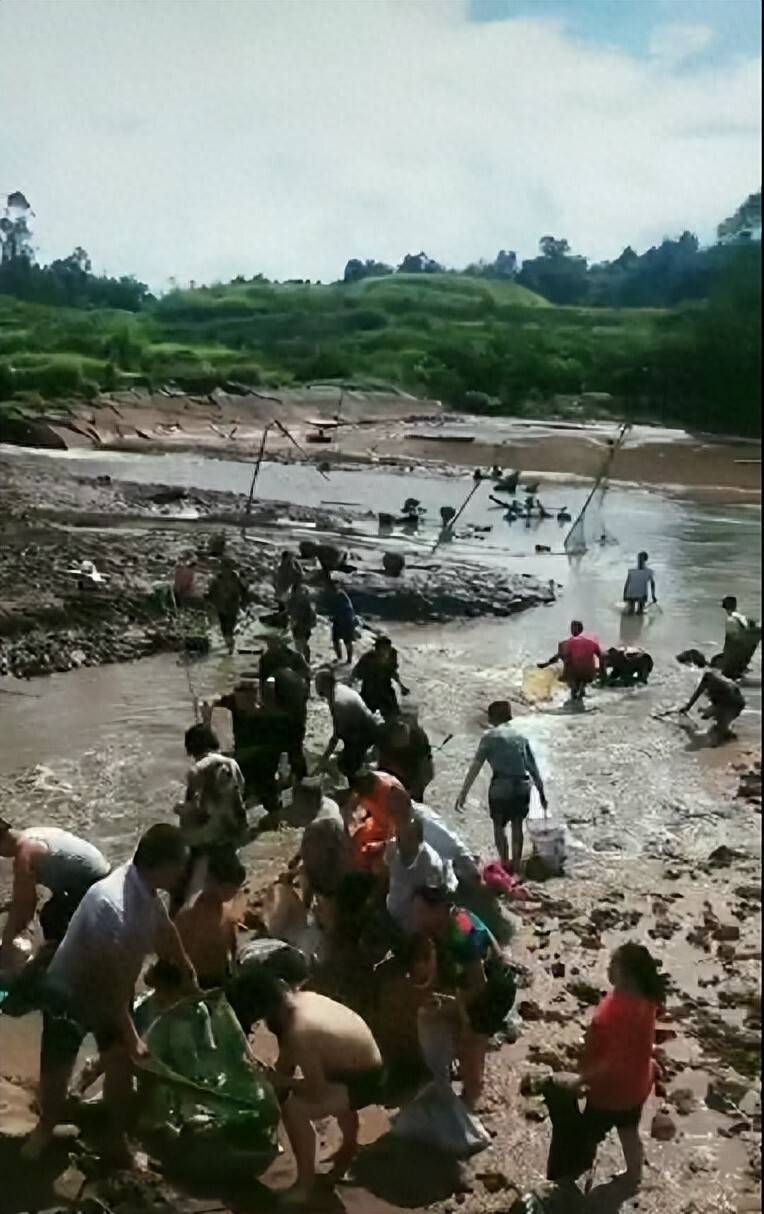 皇冠信用網开户_街道办违法强拆120亩鱼塘皇冠信用網开户，致37万斤鱼损失被判赔380万，回应称无赔付能力可法拍资产抵债