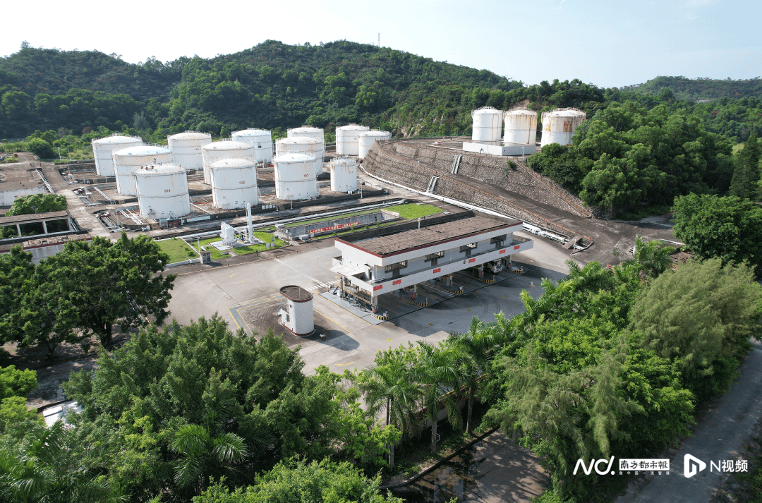 皇冠信用網占成代理
_疯传“广东一学校闲置多年皇冠信用網占成代理
,即将开学”,最新消息!